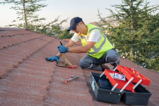 Best Metal Roofing Contractor  in Traverse City, MI