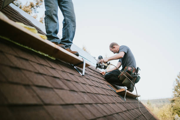 Professional Roofing Contractor in Traverse City, MI